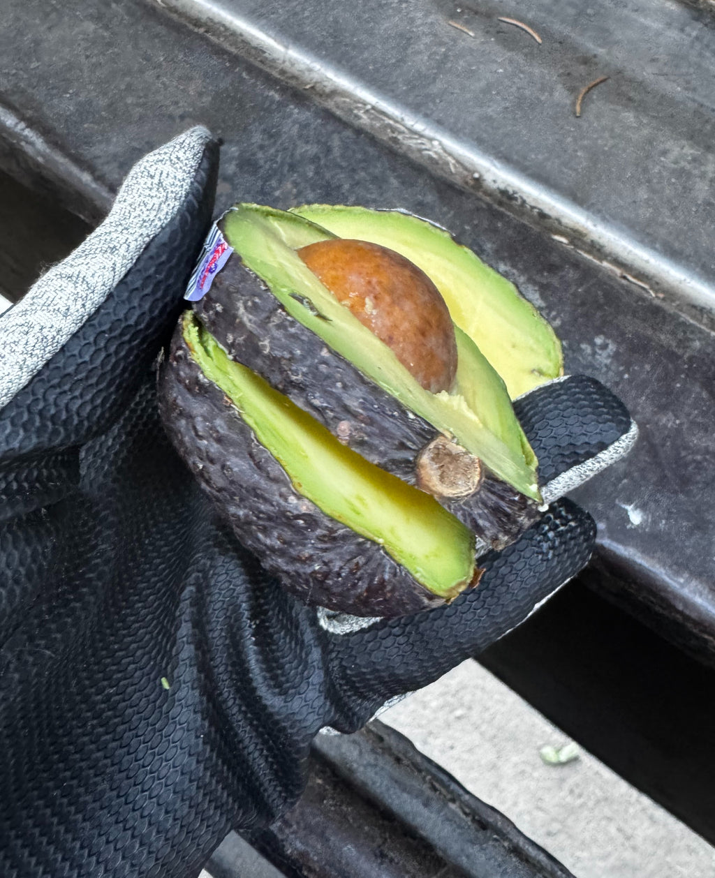 #60 Count Avocado Hass