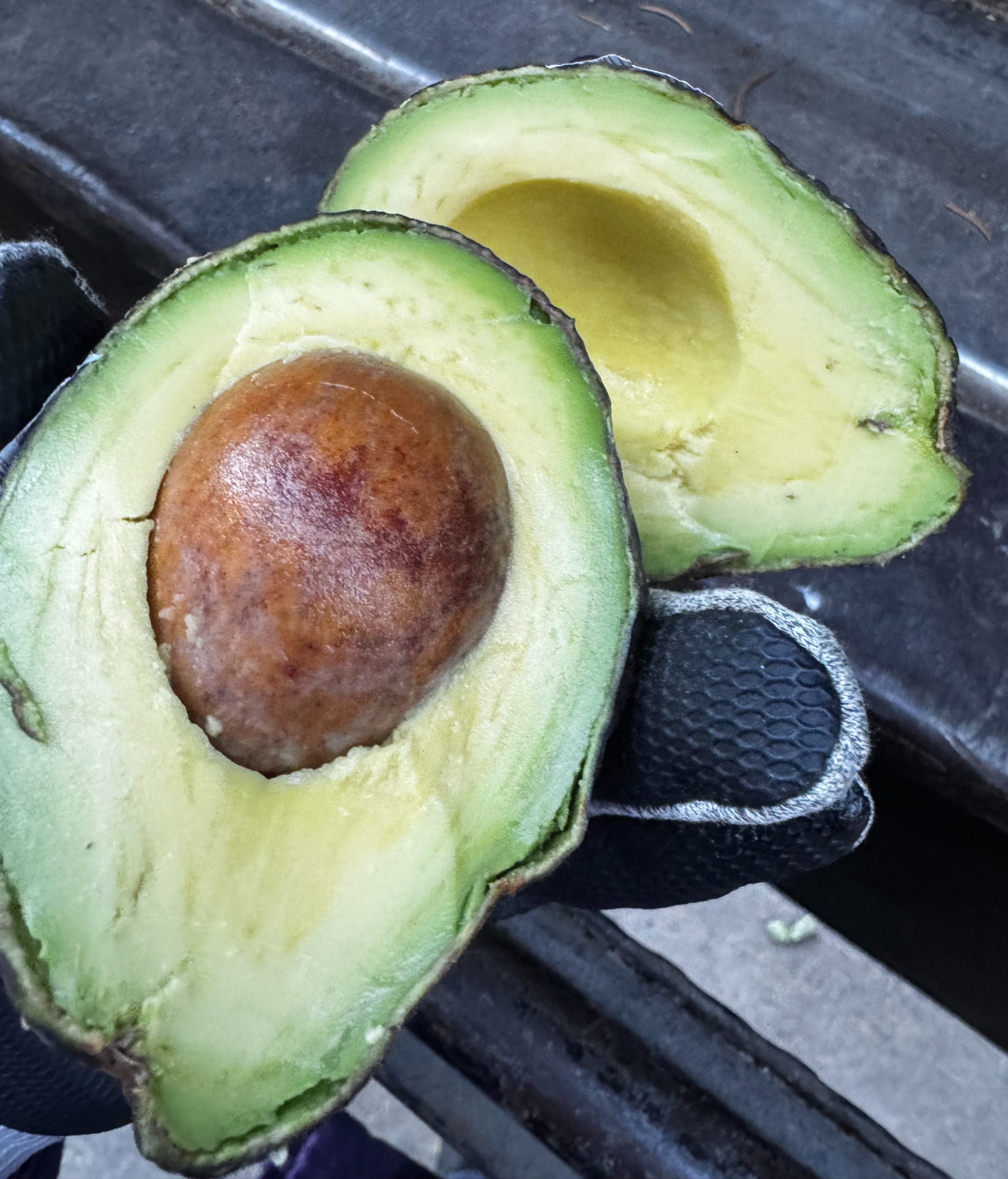 #60 Count Avocado Hass